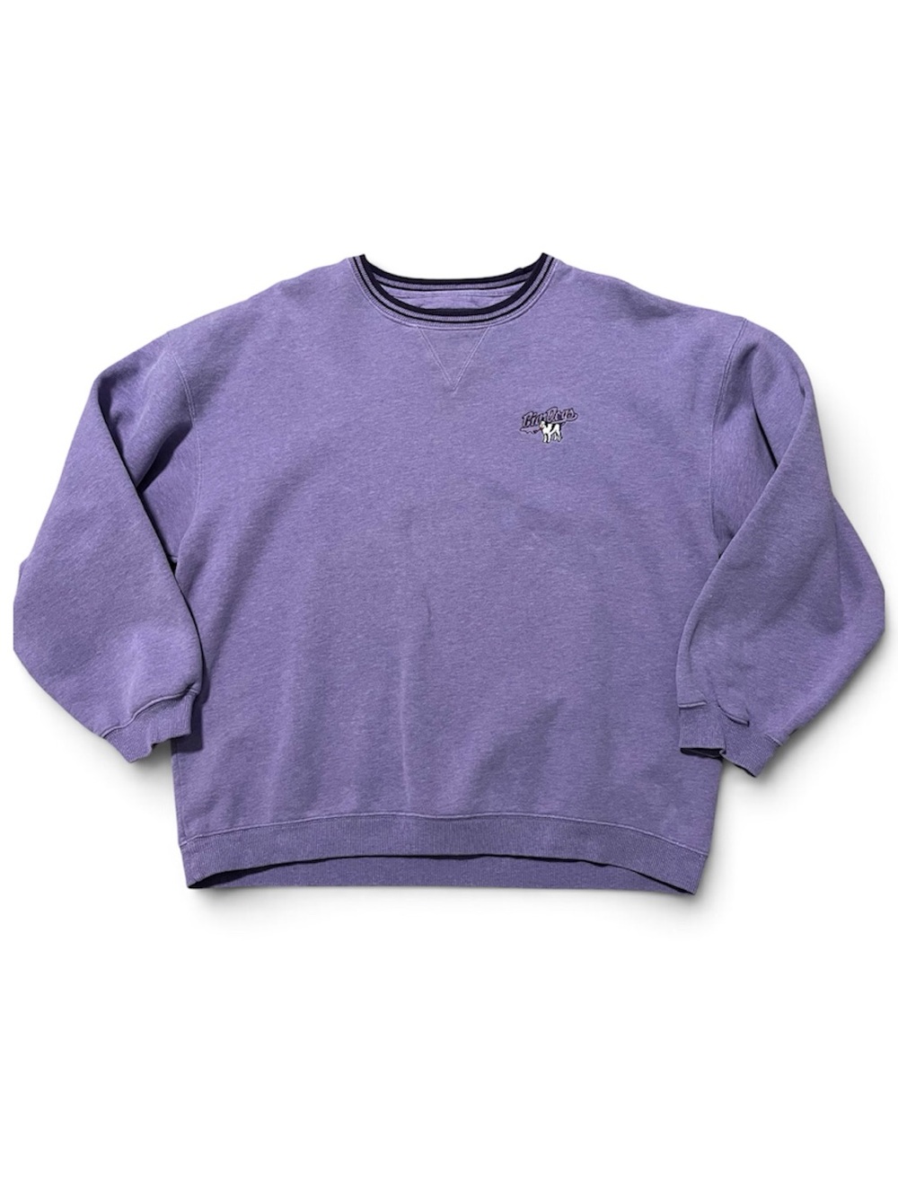 Vintage Big Dogs Embroidered Crewneck Sweatshirt Purple Pullover